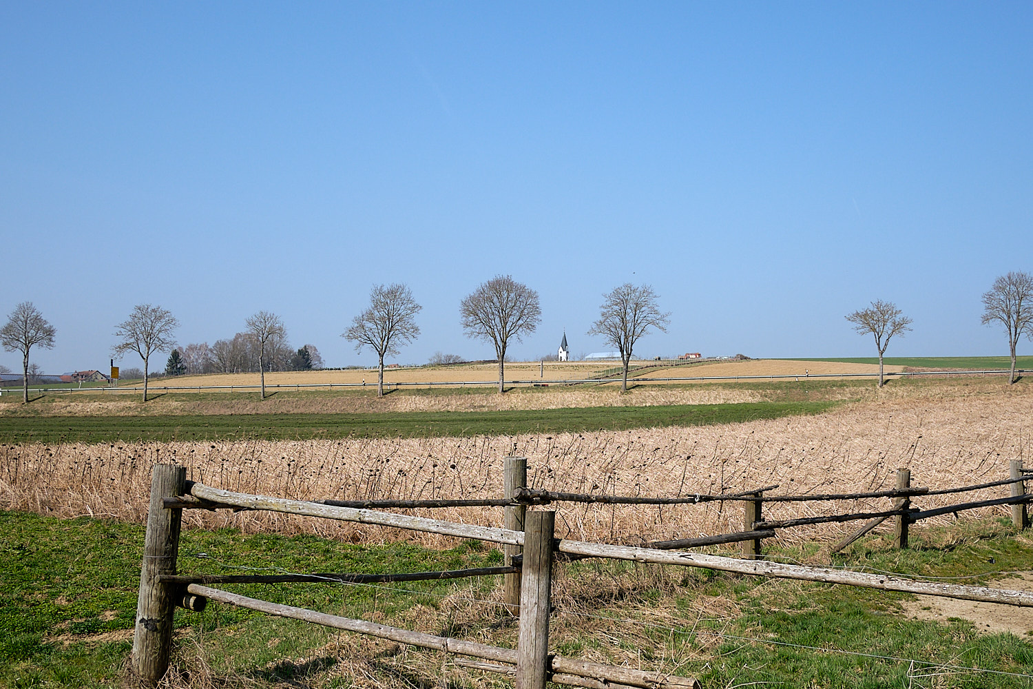 The soft hills covered of fields in south bavaria glitter with evaporation in the warming spring midday.